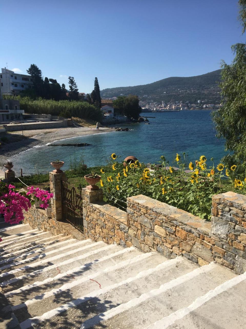 Roditses Beach Sea Front Apartments Samos Town Extérieur photo