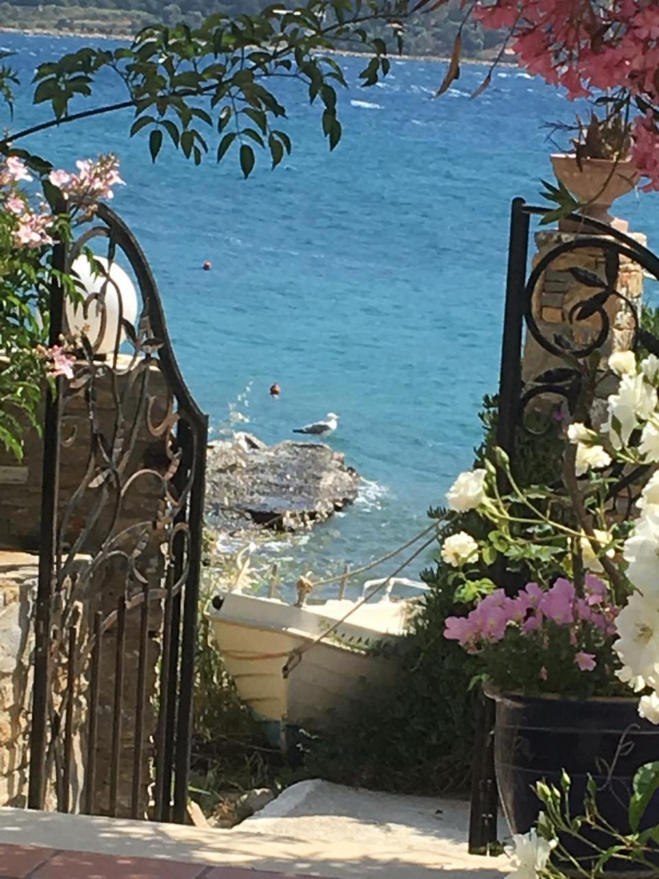 Roditses Beach Sea Front Apartments Samos Town Extérieur photo